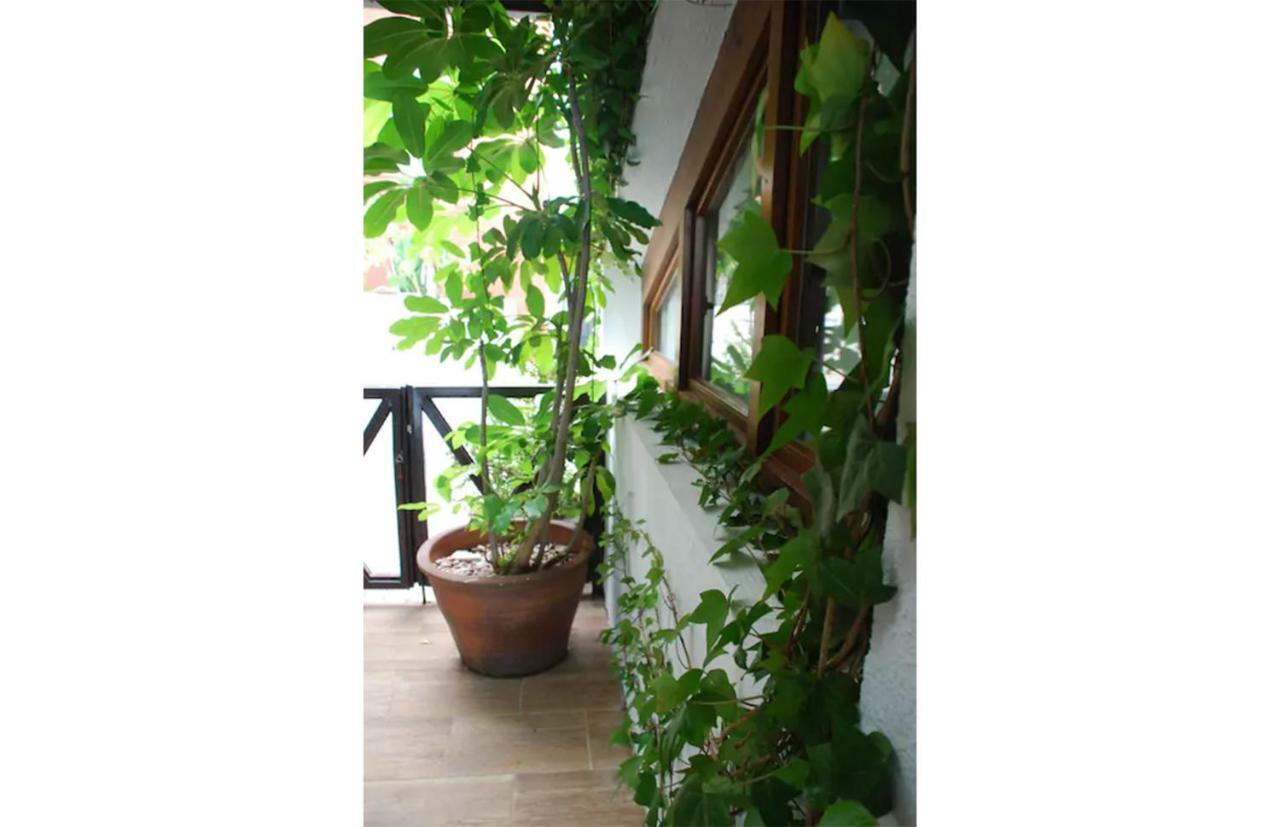 Casa Del Mediterraneo La Herradura  Exteriér fotografie